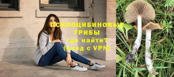 ПСИЛОЦИБИНОВЫЕ ГРИБЫ Алексеевка