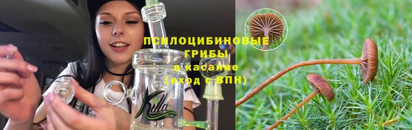 ешки Алзамай