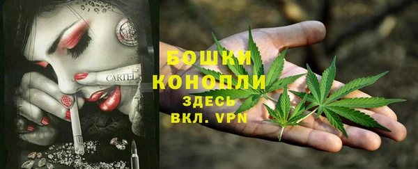 ешки Алзамай